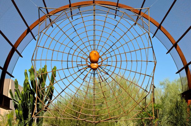 Nikon-D7000-6-960x635